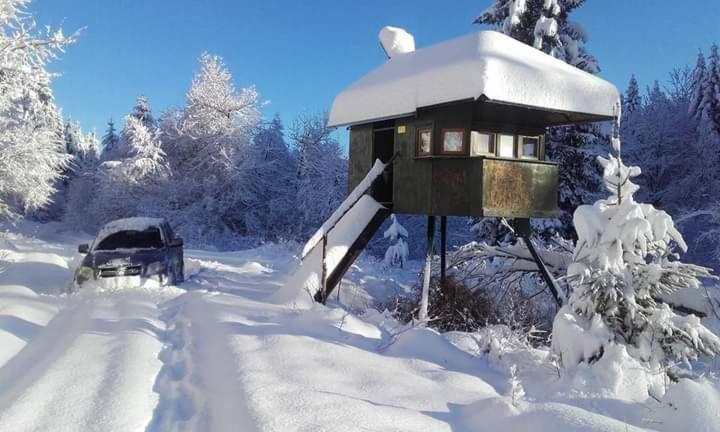 Apartman Gomirje Vrbovsko Exterior foto